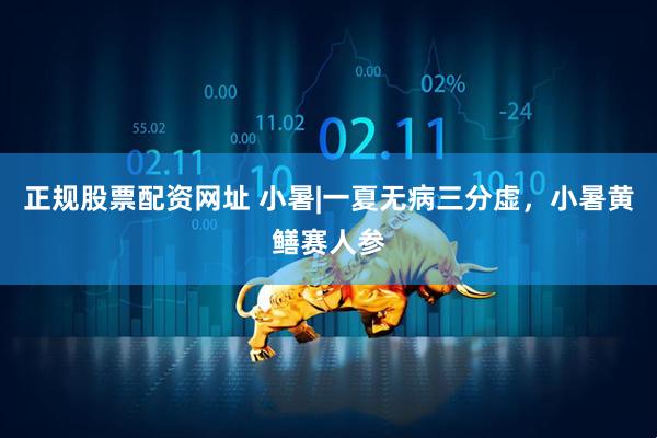 正规股票配资网址 小暑|一夏无病三分虚,小暑黄鳝赛人参