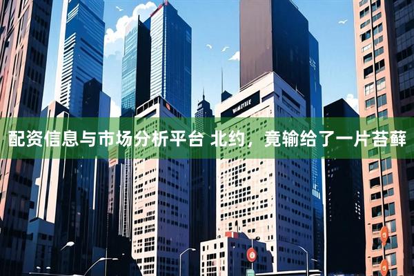 配资信息与市场分析平台 北约，竟输给了一片苔藓